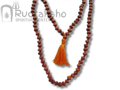 10 Mukhi Mala